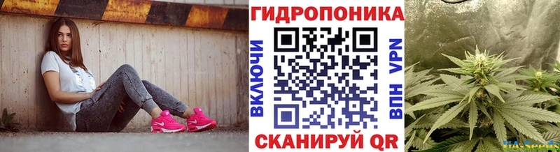 Где купить наркоту Лесосибирск Гашиш  APVP  Меф мяу мяу  МАРИХУАНА  Галлюциногенные грибы  Cocaine 