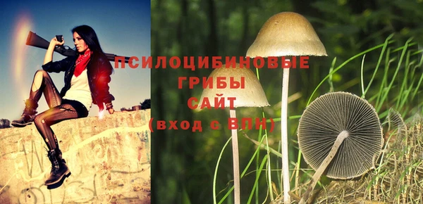 дживик Снежинск