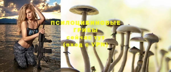 PSILOCYBIN Балабаново