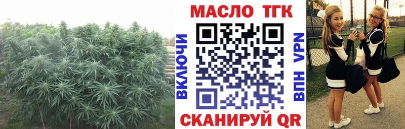 Дистиллят ТГК концентрат Лесосибирск