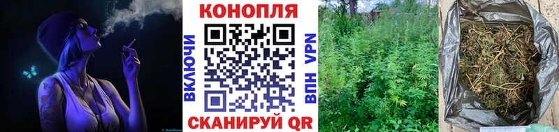 Шишки марихуана индика  где купить   Лесосибирск 